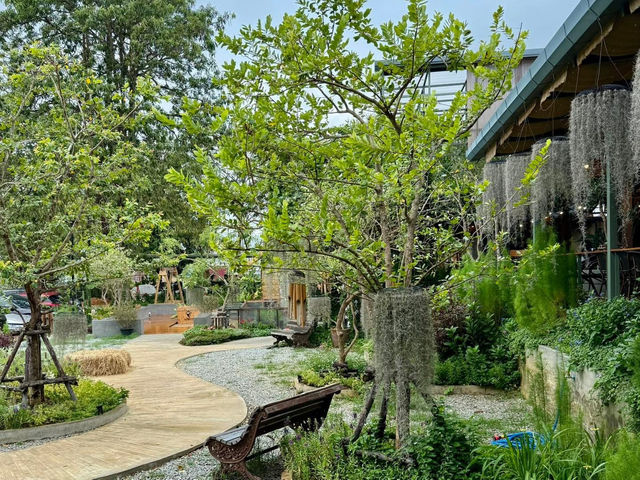 Sip and relax at We Café Phuket