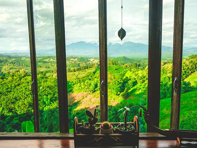 自然に抱かれた絶景カフェで、深呼吸してひと息🌿☕ ザ・ビューで心も空もリセット