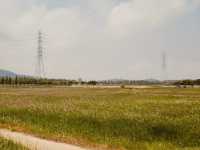 Daebu Bada Hyanggi Theme Park, Gyeonggi Province: A Vast Coastal Oasis for Relaxation and Recreation