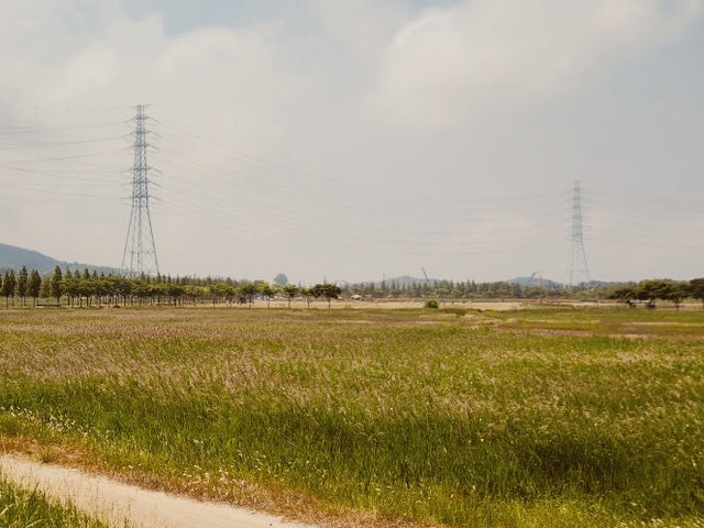 Daebu Bada Hyanggi Theme Park, Gyeonggi Province: A Vast Coastal Oasis for Relaxation and Recreation
