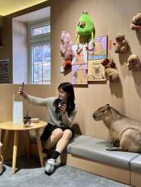 🐾도심 속 밀착 힐링! 칭따오 중산공원 실내 카피바라 카페 체험✨