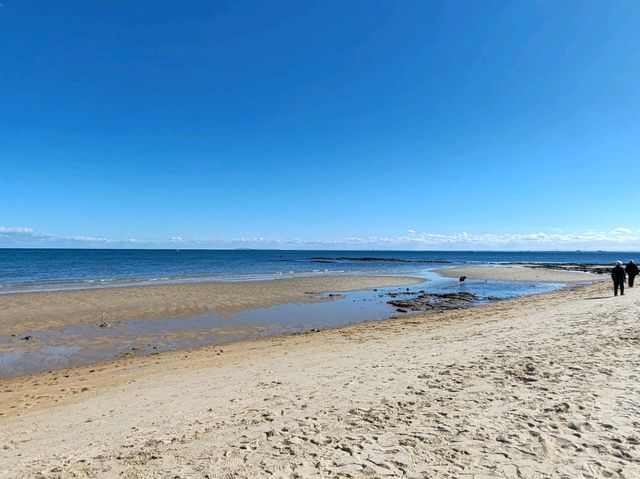 Brighton Bathing Boxes（彩虹小屋）——墨尔本最缤纷的海岸明信片