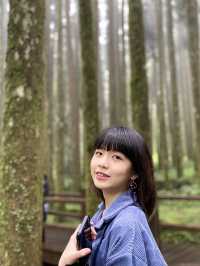 阿里山森林🌳被芬多精環繞的感覺真好！