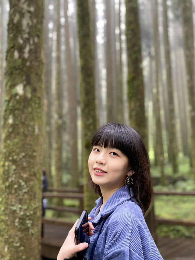 阿里山森林🌳被芬多精環繞的感覺真好！