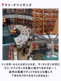 シンガポールひとり旅行ってよかった場所🇸🇬