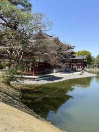 🏯🌸 Byōdō-in Temple – Heaven Reflected in Water