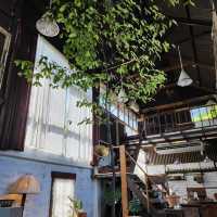 🌿 Mother Cafe 