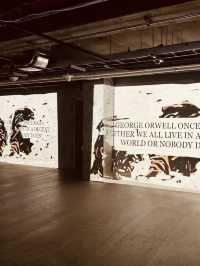 Contemporary Art in a Cinematic Wonderland
