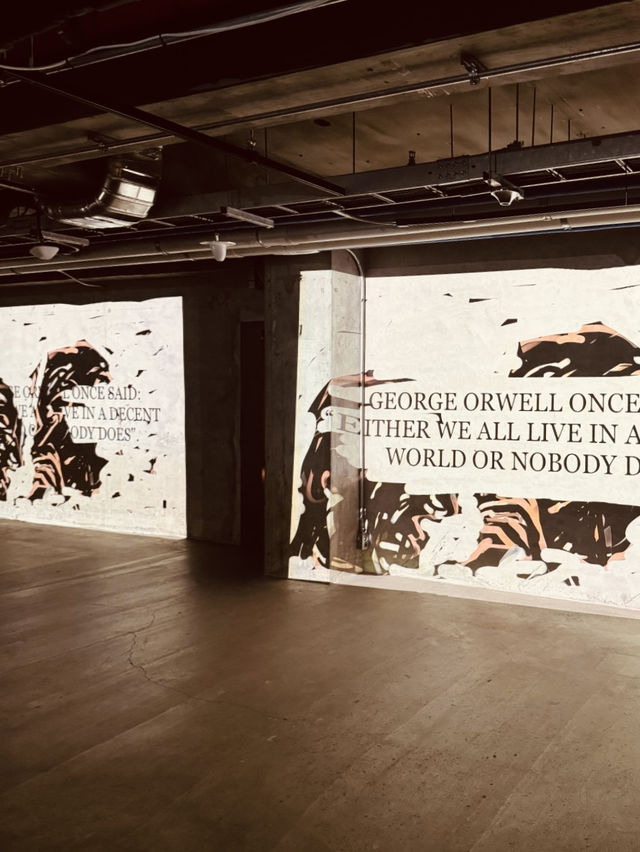 Contemporary Art in a Cinematic Wonderland