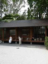 Third-Wave Nirvana: The Baristro’s Bamboo-Steamed Silence