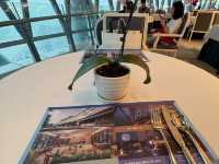 A Night To Shine: Canton Tower’s Breathtaking Views