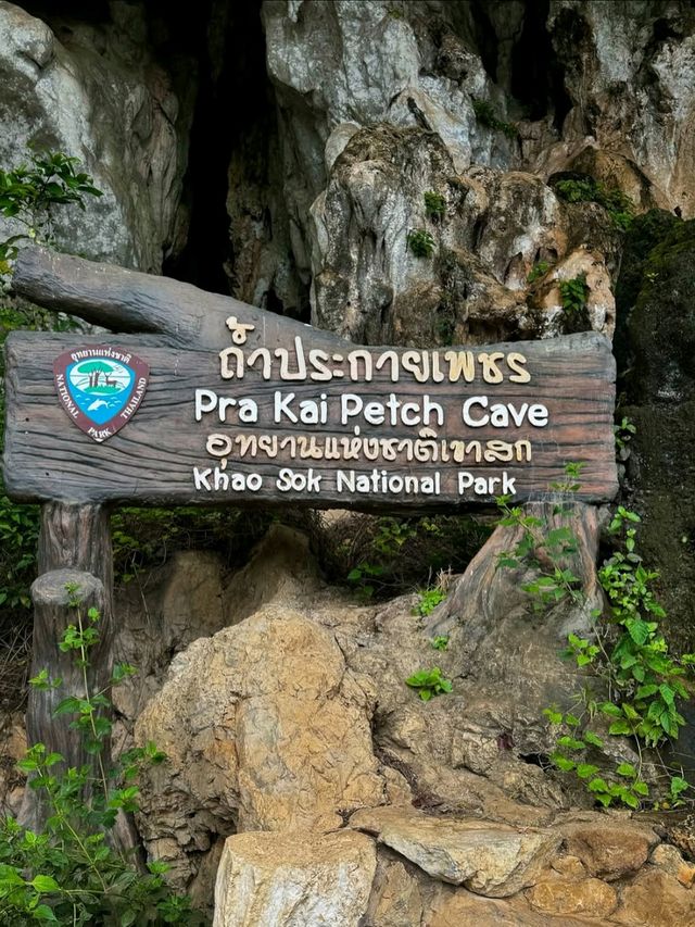 Jungle Feels & Limestone Dreams