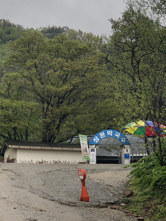 감성 충만 하루 코스 ✨ 부여 당일치기 추천 여행지 3곳!