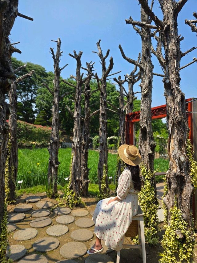 장미와 곰돌이와 초록정원이 펼쳐지는곳💚