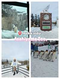 🐧 Rushing for Penguins at Asahiyama Zoo, Hokkaido 🐾