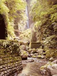 🌿 Solo Adventure: Shasui Falls – Tokyo’s Secret Waterfall Escape