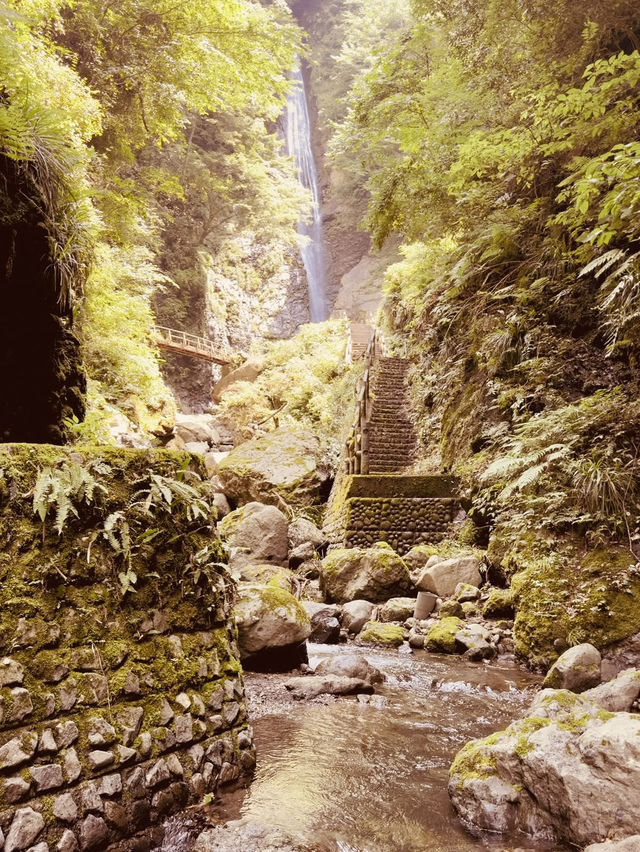 🌿 Solo Adventure: Shasui Falls – Tokyo’s Secret Waterfall Escape