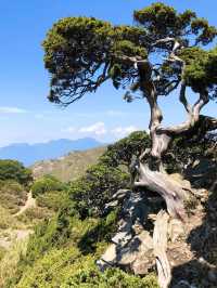 台灣百岳 石門山 合歡東峰 初階版