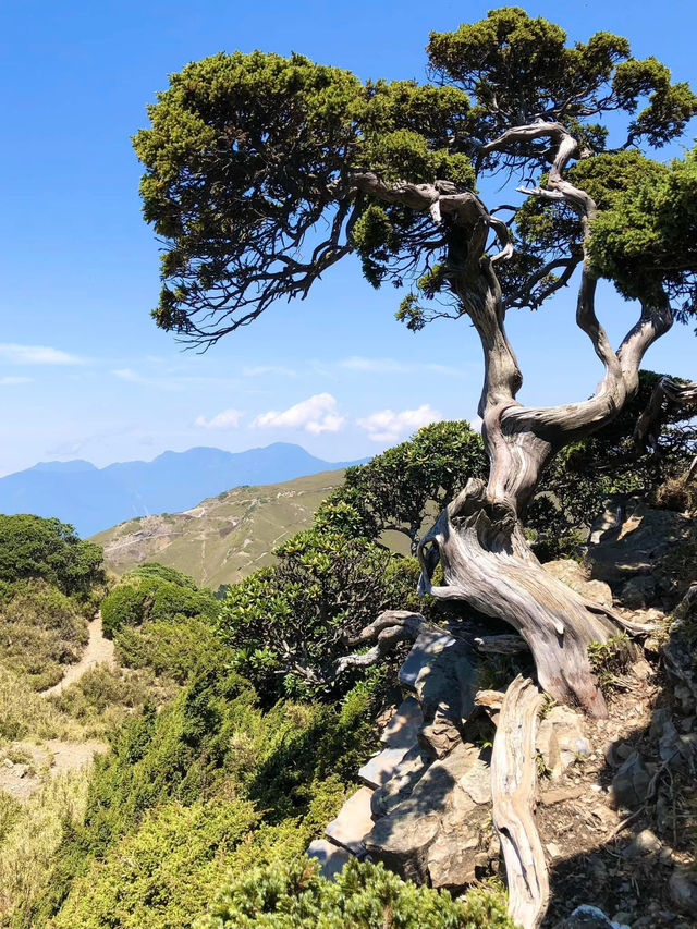 台灣百岳 石門山 合歡東峰 初階版