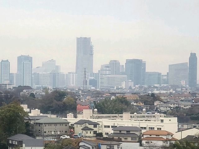 신 요코하마 프린스 호텔(Shin Yokohama Prince Hotel) 스탠다드 싱글룸