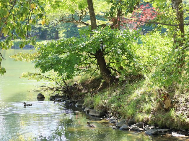 蘊藏札幌四季風景的都會秘境/札幌中島公園