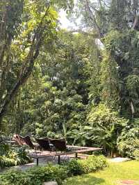 Dempsey Hills PS Cafe คาเฟ่บนเขาที่สิงคโปร์🇸🇬