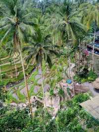 Glass Floors & Flying Foxes—Only at Alas Harum