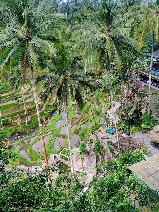 Glass Floors & Flying Foxes—Only at Alas Harum