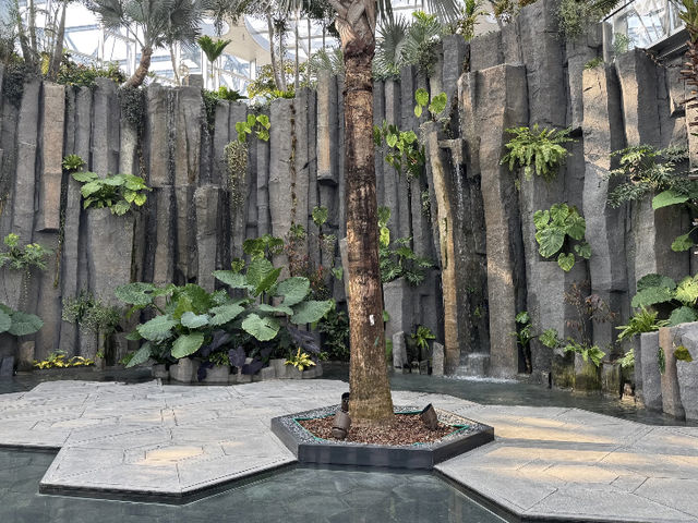 Shanghai Botanical Garden: A Green Oasis for Stunning Photos! 📸🌿