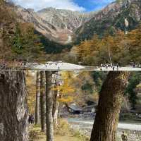 ชมใบไม้เปลี่ยนสีที่คามิโคจิ🍁🍃🍂🍁