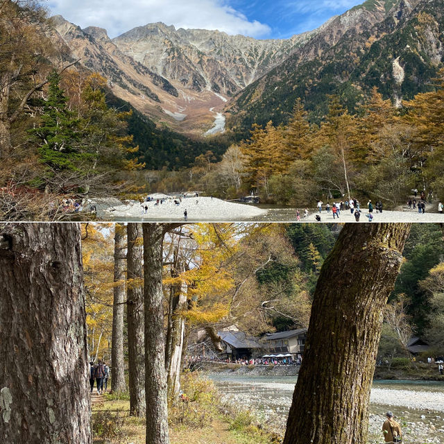 ชมใบไม้เปลี่ยนสีที่คามิโคจิ🍁🍃🍂🍁