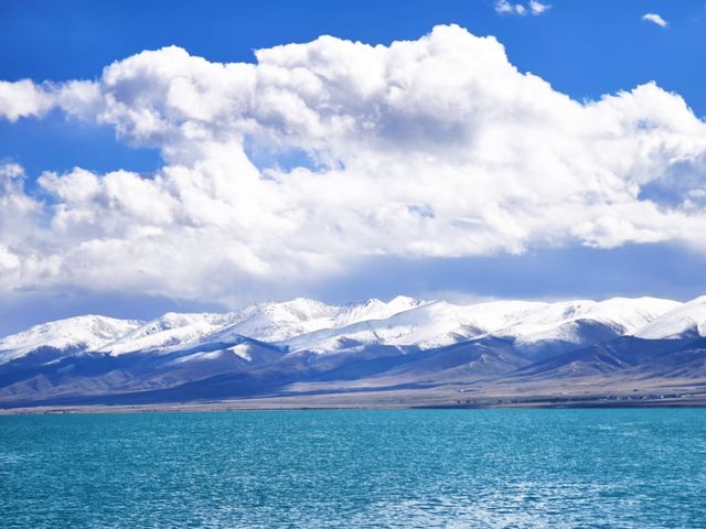 Echoes of the Plateau: The Magic of Qinghai Lake