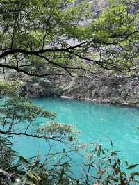 Step into the Sky: Exploring Zhangjiajie Grand Canyon