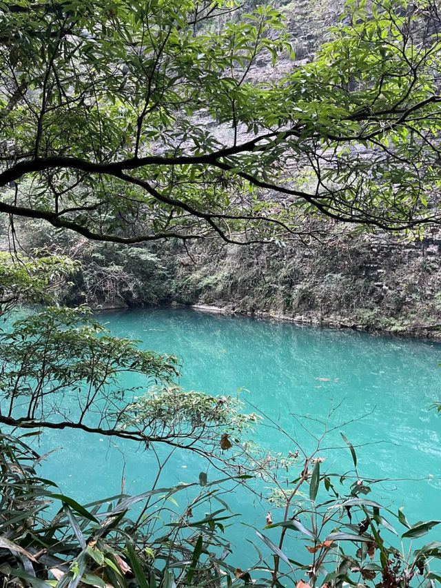 Step into the Sky: Exploring Zhangjiajie Grand Canyon