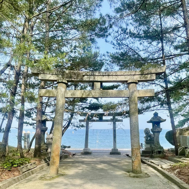 【おんせん県おおいた】潮風を感じて参拝【八幡奈多宮】こんなロケーション珍しいのでは？