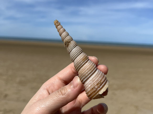 หัวหิน ถิ่นมีหอย 🐚