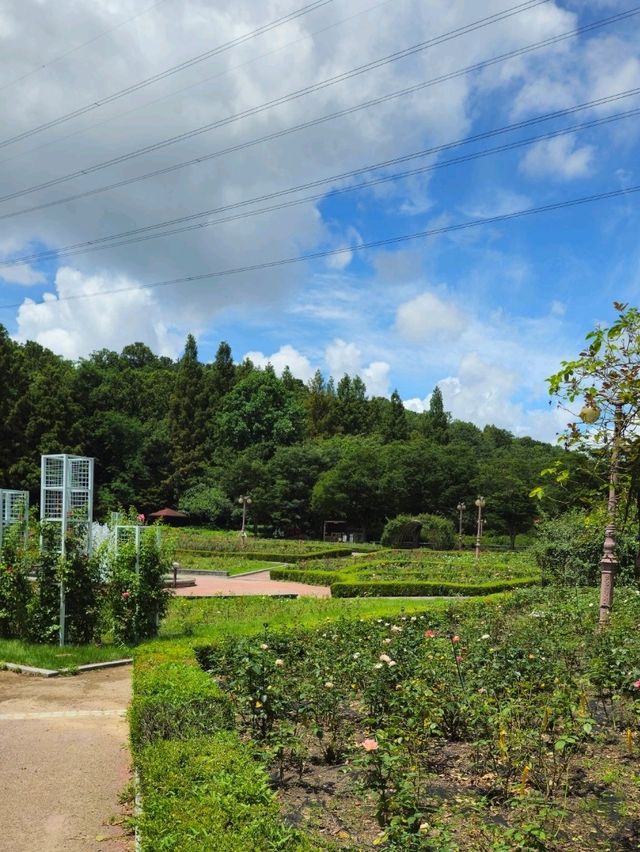 인천 장수동 인천대공원 봄 여름