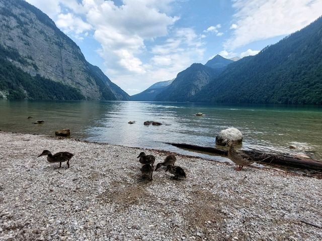 🇩🇪 國王湖 Königssee｜人間仙境的湖光山色 ✨