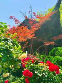 Guo's Villa-A Masterpiece of Lakeside Scholar's Elegance