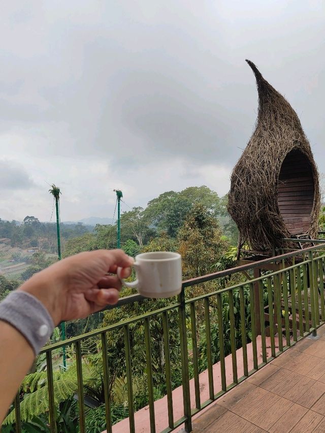 A Sip of Bali’s Soul: Tea & Coffee Tasting at the Plantation