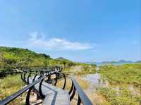 Plover Cove Country Park, Forest Feels and Total Escape Mode