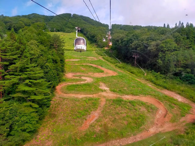 🏔️🌿 *Hakuba in Summer: A Green Alpine Paradise in the Japanese Alps* 🚵♀️🌸