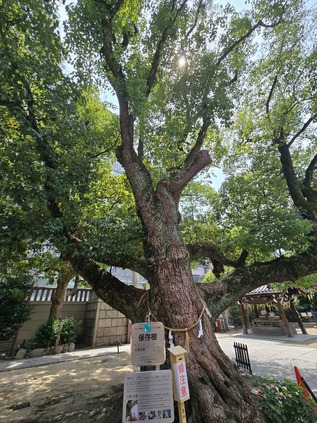【大阪】難波神社