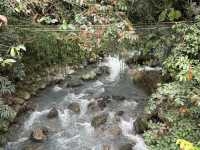 5 Days in Kota Kinabalu- amazing tour from mountain to sea.