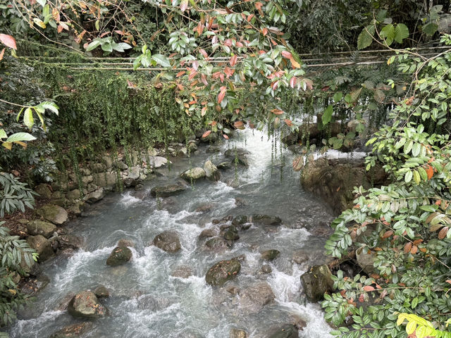 5 Days in Kota Kinabalu- amazing tour from mountain to sea.