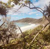 **🌿🏖️ *Noosa National Park: Sunshine Coast’s Coastal Paradise* 🐬🌊**  