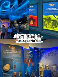 Learn Through Fun at Aquaria 📚🐟