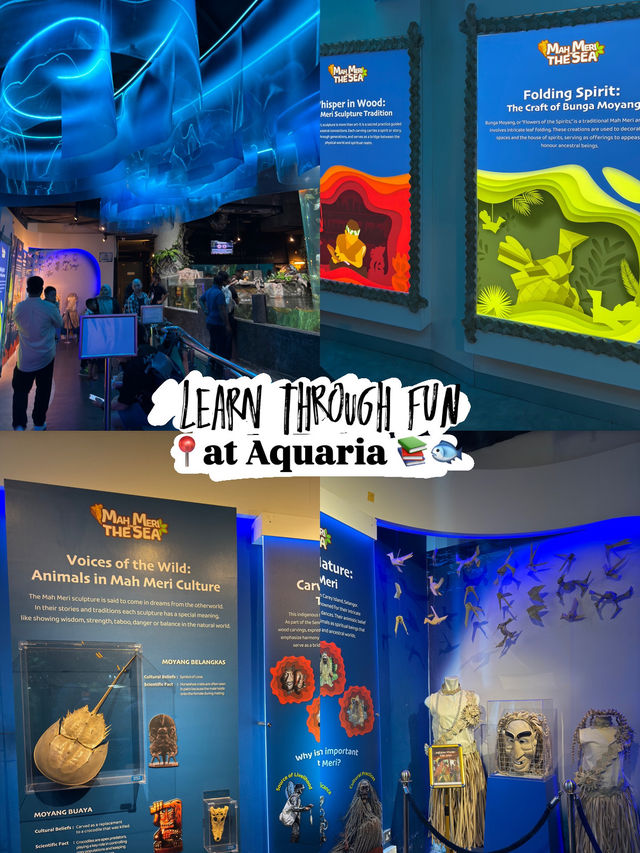 Learn Through Fun at Aquaria 📚🐟