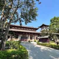 🌿 Escape into Nature at Qingxiu Mountain, Nanning (南宁青秀山)