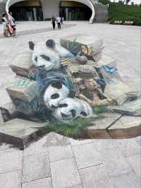 “Panda Paradise: Chengdu’s Living Conservation Garden”